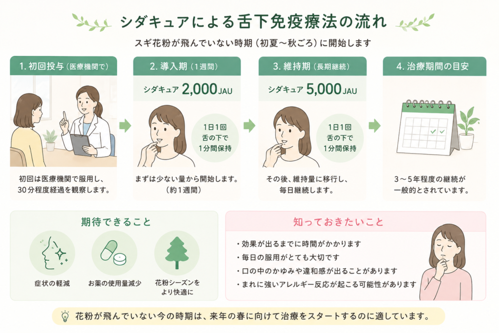 シダキュアの飲み方